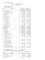 Báo cáo tài chính quý 2 năm 2009 - Công ty Cổ phần Thiết bị Bưu điện