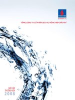 Báo cáo thường niên năm 2008 - Tổng Công ty Cổ phần Dịch vụ Tổng hợp Dầu khí