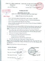 Nghị quyết Hội đồng Quản trị ngày 15-2-2011 - Công ty cổ phần Phát triển Bất động sản Phát Đạt