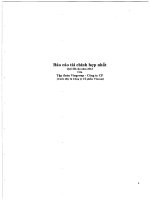 Báo cáo tài chính hợp nhất quý 3 năm 2012 - Tập đoàn Vingroup - Công ty Cổ phần