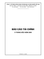 Báo cáo tài chính 9 tháng đầu năm 2009 - Công ty Cổ phần Chứng khoán Thương mại và Công nghiệp Việt Nam