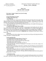 Báo cáo thường niên năm 2009 - Công ty Cổ phần VICEM Vật tư Vận tải Xi măng