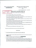 Nghị quyết Hội đồng Quản trị ngày 26-11-2010 - Công ty Cổ phần Thép Pomina