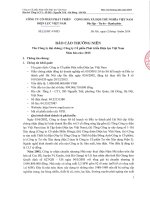 Báo cáo thường niên năm 2015 - CTCP Phát triển Điện lực Việt Nam