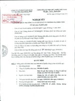 Nghị quyết Hội đồng Quản trị ngày 28-4-2011 - Công ty Cổ phần Sản xuất và Thương mại Phúc Tiến