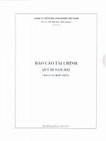 Báo cáo tài chính hợp nhất quý 3 năm 2015 - Công ty cổ phần Tập đoàn Container Việt Nam