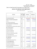 Báo cáo tài chính hợp nhất quý 1 năm 2010 - Công ty Cổ phần Thủy hải sản Việt Nhật