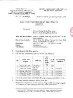 Báo cáo tình hình quản trị công ty - Công ty cổ phần Phân bón và Hóa chất Dầu khí Đông Nam Bộ