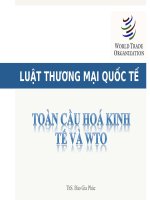 Luật thương mại quốc tế bài 1 toàn cầu hóa kinh tế và WTO ECONOMIC GLOBALIZATION AND INTL TRADE RULES