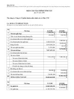 Báo cáo tài chính quý 4 năm 2008 - Công ty cổ phần Sản xuất, Thương mại và Dịch vụ ôtô PTM