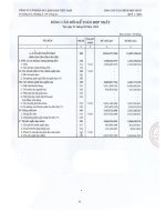 Báo cáo tài chính hợp nhất quý 1 năm 2013 - Công ty Cổ phần Du lịch Thành Thành Công