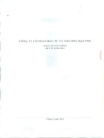 Báo cáo tài chính công ty mẹ quý 4 năm 2013 - Công ty cổ phần Đầu tư và Thương mại VNN