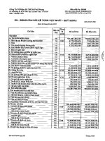 Báo cáo tài chính hợp nhất quý 3 năm 2012 - Công ty Cổ phần Sản xuất Thương mại Dịch vụ Phú Phong