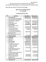 Báo cáo tài chính quý 1 năm 2009 - Công ty Cổ phần VICEM Vật tư Vận tải Xi măng