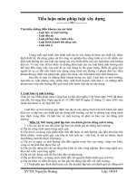 Tiểu luận môn pháp luật xây dựng 