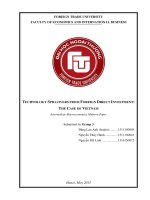 TECHNOLOGY SPILLOVERS FROM FOREIGN DIRECT INVESTMENT THE CASE OF VIETNAM  intermediate macroeconomics midterm paper