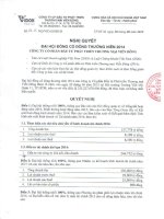 Nghị quyết Đại hội cổ đông thường niên - Công ty Cổ phần Đầu tư Phát triển Thương mại Viễn Đông