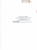 Báo cáo tài chính năm 2015 (đã kiểm toán) - Công ty Cổ phần Đầu tư và Phát triển Năng lượng Việt Nam