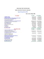 Báo cáo tài chính quý 2 năm 2005 - Ngân hàng Thương mại cổ phần Phương Đông