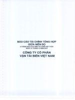 Báo cáo tài chính công ty mẹ quý 2 năm 2015 (đã soát xét) - Công ty Cổ phần Vận tải biển Việt Nam