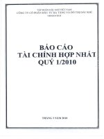 Báo cáo tài chính hợp nhất quý 1 năm 2010 - Công ty Cổ phần Đầu tư Hạ tầng và Đô thị Dầu khí PVC