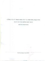 Báo cáo tài chính hợp nhất quý 4 năm 2014 - Công ty cổ phần Đầu tư và Thương mại VNN