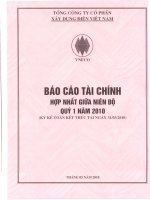 Báo cáo tài chính hợp nhất quý 1 năm 2010 - Tổng công ty Cổ phần Xây dựng điện Việt Nam