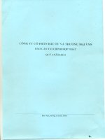 Báo cáo tài chính hợp nhất quý 1 năm 2014 - Công ty cổ phần Đầu tư và Thương mại VNN
