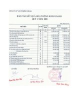 Báo cáo tài chính quý 1 năm 2009 - Công ty Cổ phần Vật tư Bến Thành