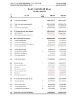 Báo cáo tài chính quý 3 năm 2010 - Công ty Cổ phần Chứng khoán Thương mại và Công nghiệp Việt Nam