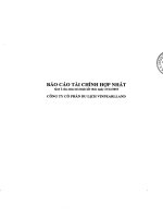 Báo cáo tài chính hợp nhất quý 1 năm 2010 - Công ty TNHH Một thành viên Vinpearl