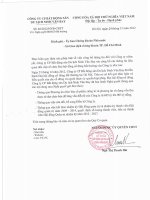 Nghị quyết Đại hội cổ đông bất thường - Công ty Cổ phần Bất động sản Du lịch Ninh Vân Bay