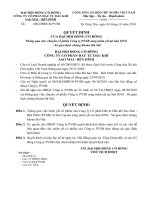 Nghị quyết đại hội cổ đông ngày 4-10-2010 - Công ty cổ phần Đầu tư Dầu khí Sao Mai – Bến Đình