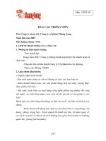 Báo cáo thường niên năm 2007 - Công ty Cổ phần Vang Thăng Long