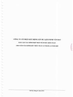 Báo cáo tài chính hợp nhất năm 2009 (đã kiểm toán) - Công ty Cổ phần Bất động sản Du lịch Ninh Vân Bay