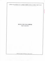 Báo cáo tài chính quý 4 năm 2014 - Công ty Cổ phần Đầu tư và Phát triển Năng lượng Việt Nam
