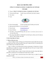 Báo cáo thường niên năm 2008 - Công ty Cổ phần Xi măng và Khoáng sản Yên Bái