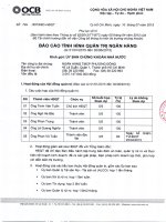 Báo cáo tình hình quản trị công ty - Ngân hàng Thương mại cổ phần Phương Đông