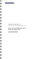 Báo cáo tài chính hợp nhất năm 2013 (đã kiểm toán) - Tập đoàn Dầu khí Việt Nam