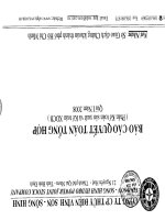 Báo cáo tài chính quý 1 năm 2008 - Công ty Cổ phần Thủy điện Vĩnh Sơn - Sông Hinh