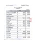 Báo cáo tài chính 9 tháng đầu năm 2014 - Công ty Cổ phần Xà phòng Hà Nội