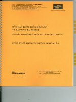 Báo cáo tài chính năm 2013 (đã kiểm toán) - Công ty cổ phần Cấp nước Phú Hòa Tân