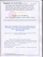 Bản cáo bạch - Công ty cổ phần Đầu tư Bất động sản Việt Nam