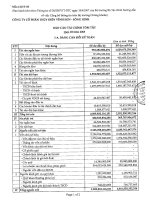 Báo cáo tài chính quý 3 năm 2008 - Công ty Cổ phần Thủy điện Vĩnh Sơn - Sông Hinh