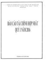 Báo cáo tài chính hợp nhất quý 1 năm 2016 - Công ty Cổ phần Đầu tư Hạ tầng và Đô thị Dầu khí PVC