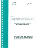 Báo cáo tài chính hợp nhất quý 2 năm 2010 (đã soát xét) - Công ty Cổ phần Vận tải và Thuê tàu biển Việt Nam