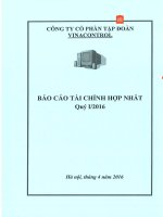 Báo cáo tài chính hợp nhất quý 1 năm 2016 - Công ty Cổ phần Tập đoàn Vinacontrol