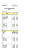 Báo cáo tài chính hợp nhất quý 4 năm 2008 - Tổng công ty Cổ phần Xây dựng điện Việt Nam