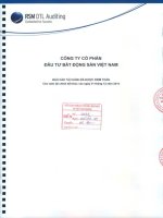 Báo cáo tài chính công ty mẹ năm 2014 (đã kiểm toán) - Công ty cổ phần Đầu tư Bất động sản Việt Nam