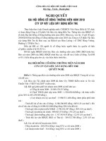 Nghị quyết Đại hội cổ đông thường niên năm 2010 - Công ty Cổ phần Vật liệu xây dựng Bến Tre